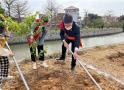 莆田市城厢区检察院开展植树节志愿服务活动