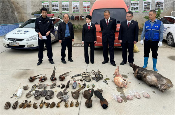 安溪县检察院对涉案野生动物死体公开销毁进行现场监督